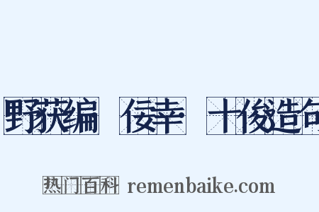 野获编·佞幸·十俊造句是什么意思的图片